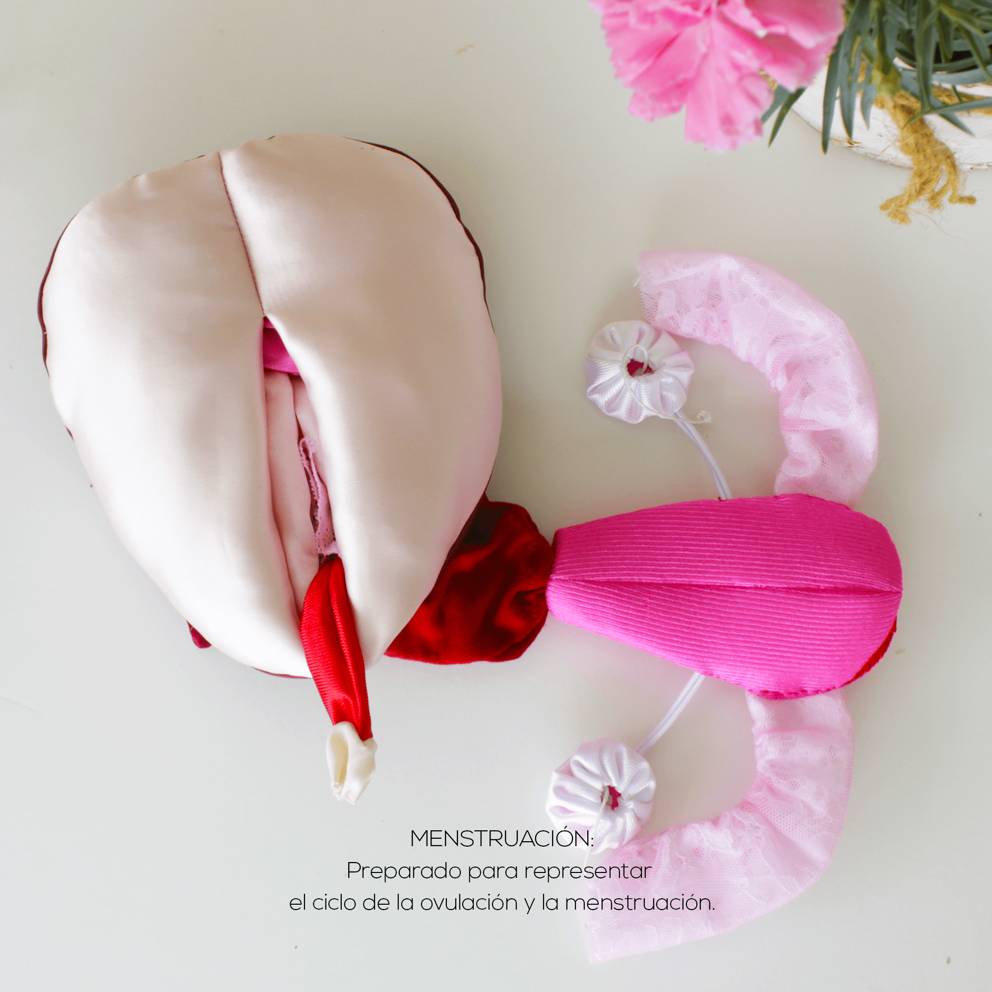 menstruación